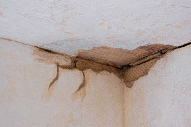 Best Sewage cleanup and water damage restoration  in Euclid, OH