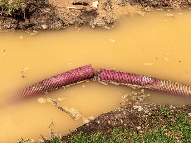 Best Basement water damage restoration  in Euclid, OH